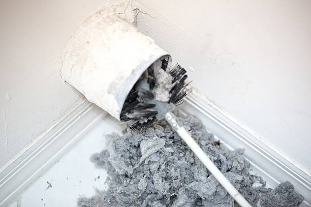 Best Best Air Duct Cleaning Near Me  in Dover, FL